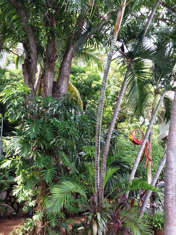 Villa Costa Chica Comodisimo Piscina Gigante Jardines 아카풀코 외부 사진